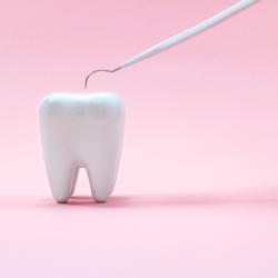 Modell eines gesunden Zahns auf rosa Hintergrund