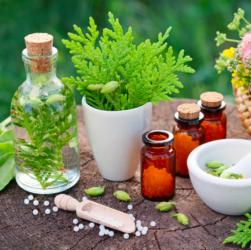 Alternativmedizin Naturheilverfahren Pflanzliche Medizin